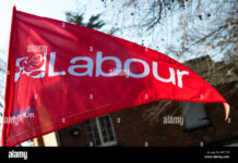 Ms Litman’s punch stings