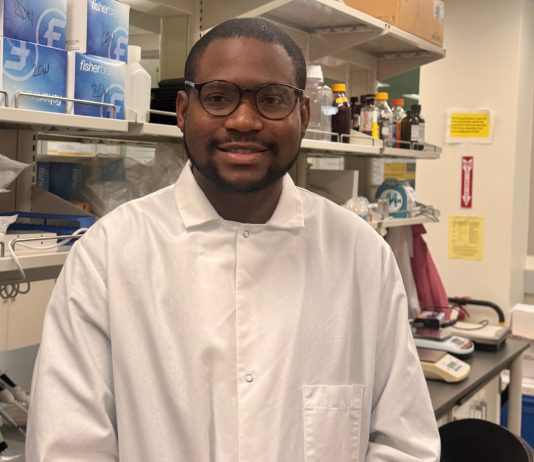 Abiola Lawal: A Diaspora Nigerian’s contribution to mitigation of global emissions