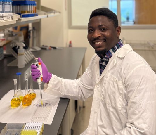 Fish Farming: The drive for fish and human health in Olowe’s research